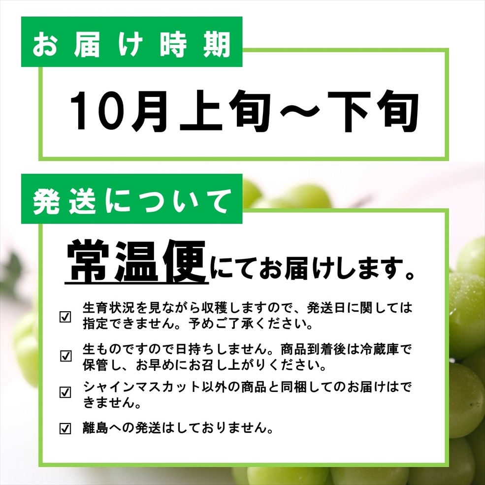 シャインマスカット大粒 1房（800g前後）入箱（10月上旬～下旬頃お届け）【G-01】