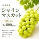 シャインマスカット大粒 1房（800g前後）入箱（10月上旬～下旬頃お届け）【G-01】