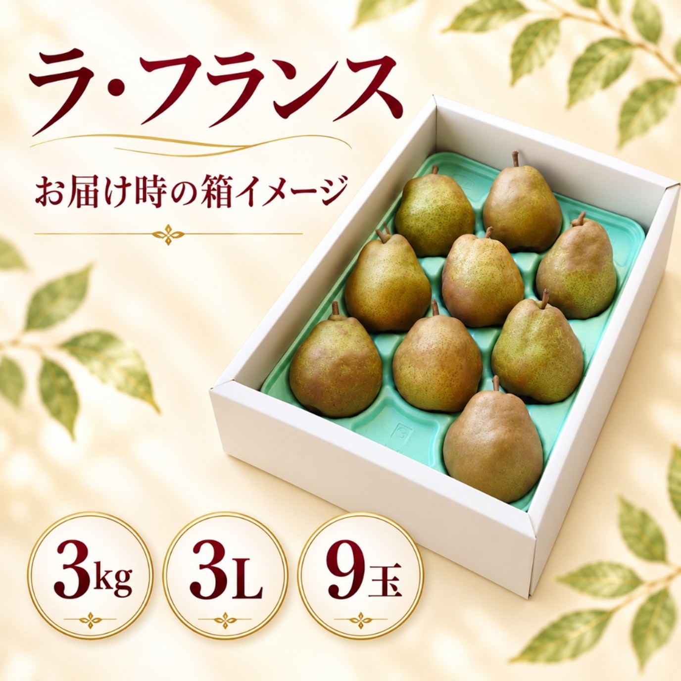 ラ・フランス 3kg 3L 9玉【R-02】
