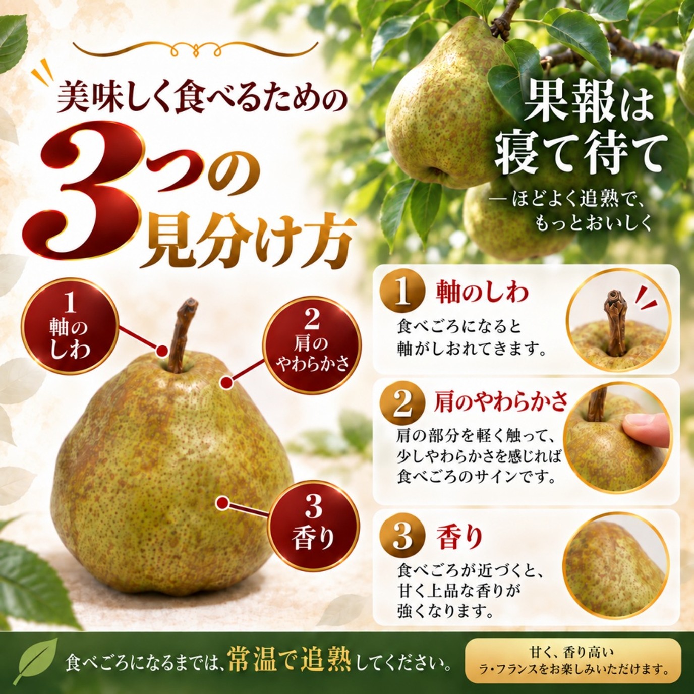 ラ・フランス 3kg 3L 9玉【R-02】