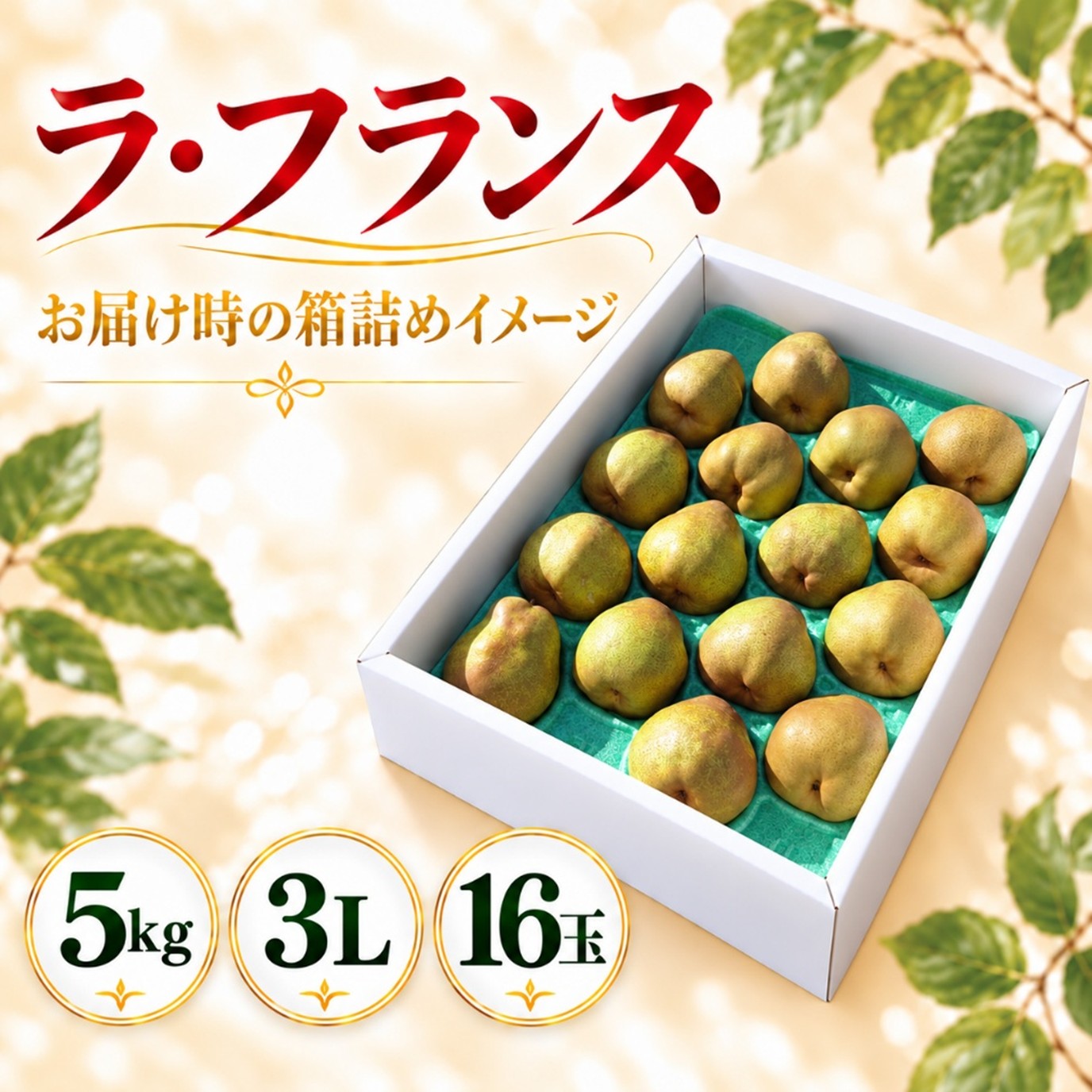 ラ・フランス 5kg 3L 16玉【R-05】