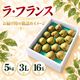 ラ・フランス 5kg 3L 16玉【R-05】