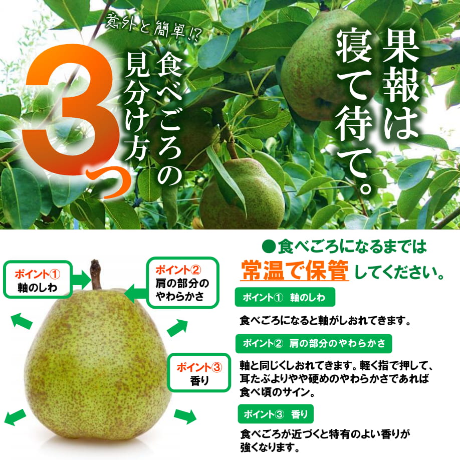 ��R-01�� �顦�ե�� 3kg 2L 10��