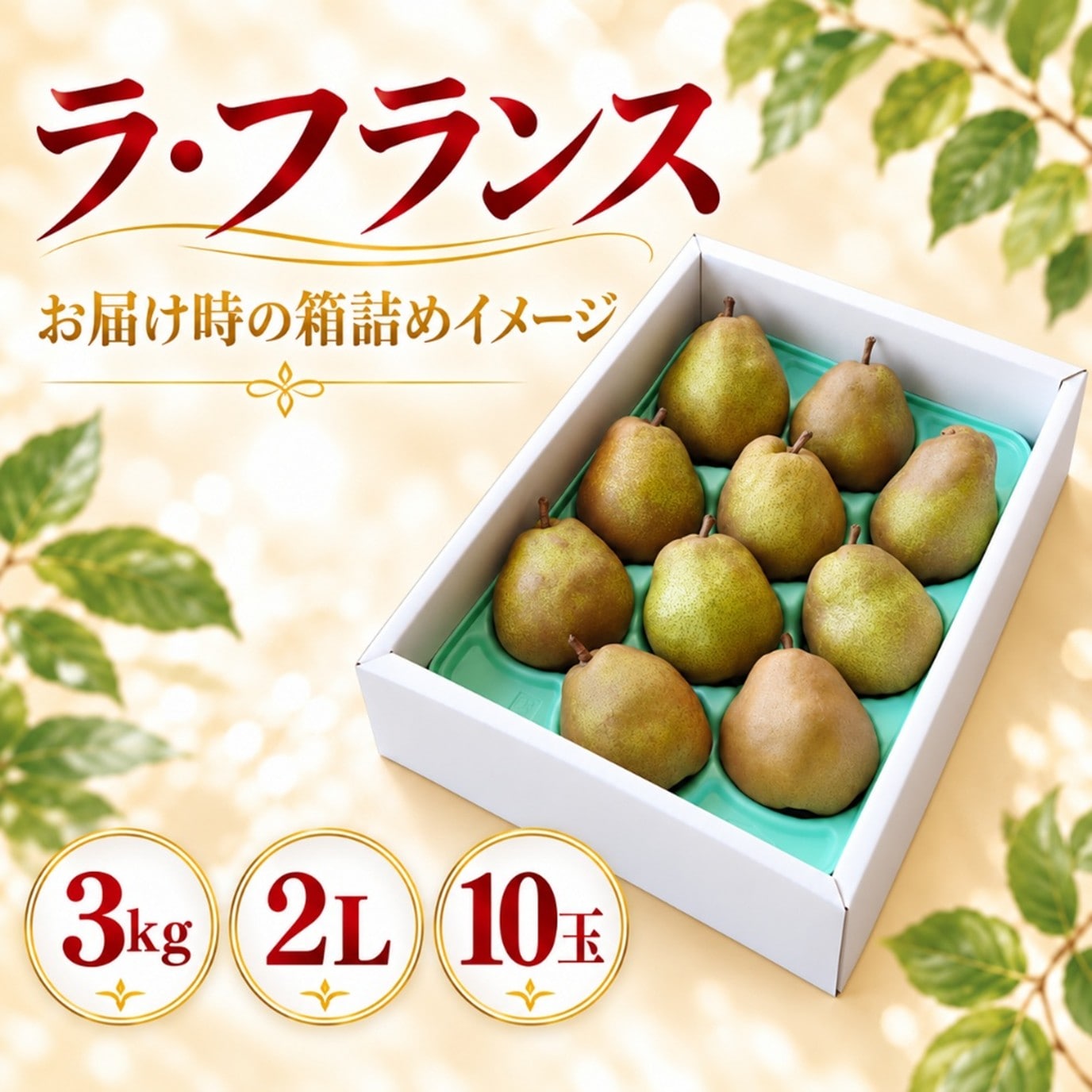 ラ・フランス 3kg 2L 10玉【R-01】