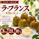 ラ・フランス 3kg 2L 10玉【R-01】