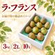 ラ・フランス 3kg 2L 10玉【R-01】