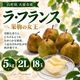 ラ・フランス 5kg 2L 18玉【R-04】