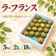 ラ・フランス 5kg 2L 18玉【R-04】