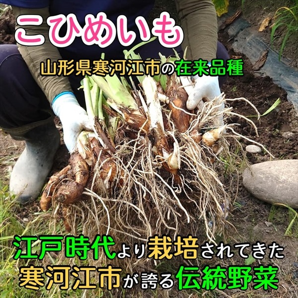 【K-04】土付き里芋（こひめいも）3.5ｋｇ