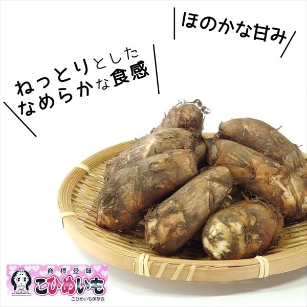 【K-04】土付き里芋（こひめいも）3.5ｋｇ
