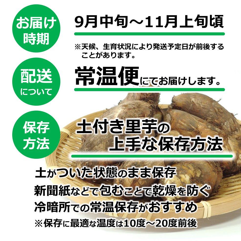 【K-04】土付き里芋（こひめいも）3.5ｋｇ