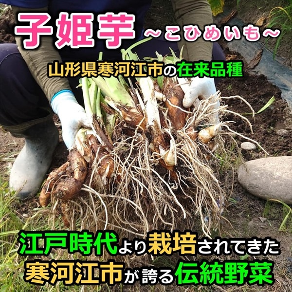 ��K-05�����դ�Τ��ʤ��Ҥᤤ���5���