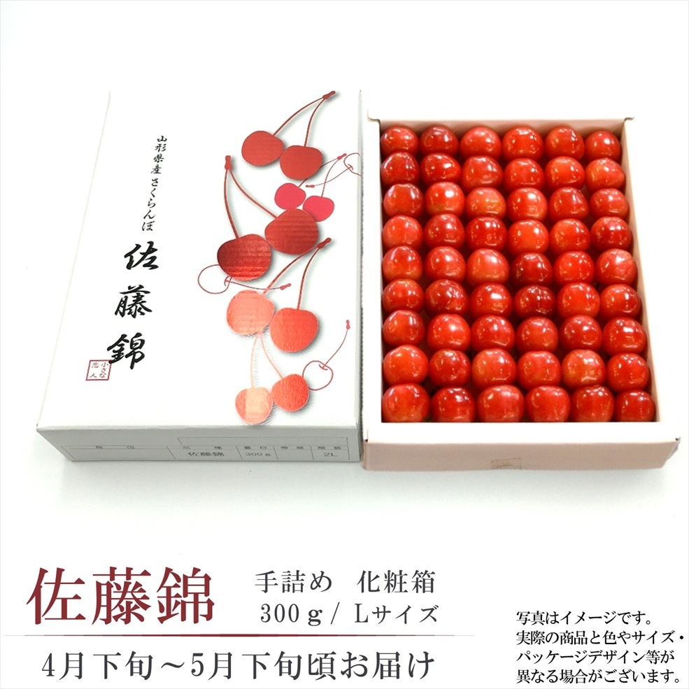 温室さくらんぼ 佐藤錦 300g 手詰化粧箱 Lサイズ〈送料込み〉【OS-01