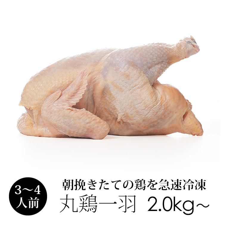 鶏肉とお惣菜のお店 チキンナカタ】│紀の国みかんどり 丸鶏 1羽