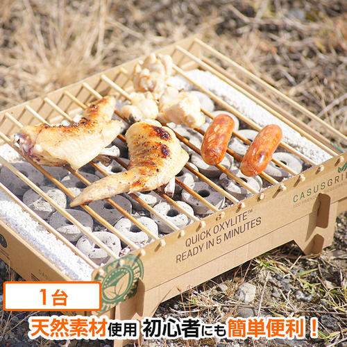 Amazon.com: QZQHNYJ BBQ Grill Outdoor Disposable Portable