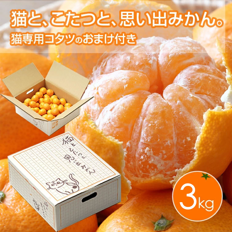 鶏肉とお惣菜のお店 チキンナカタ】│猫と、こたつと、思い出みかん