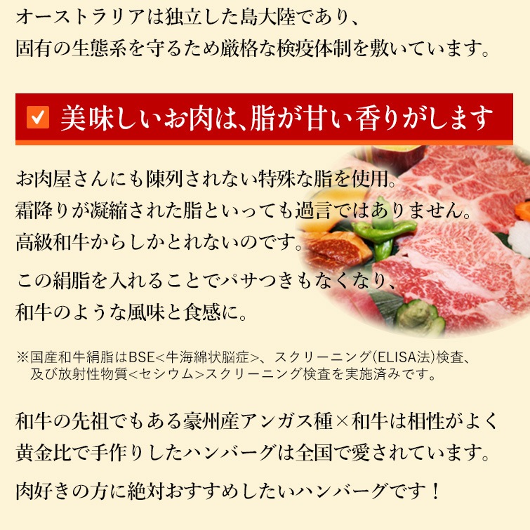 ����100% ���塼���� �ϥ�С��� 130g��6�� (���� ���եȤ� ���ں�) [����̵��]