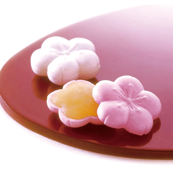 宮乃桜（8個入）｜【冬・春季限定】宮乃桜｜千鳥屋宗家オンライン