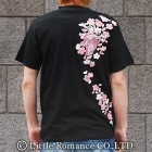 S-1998���������ȾµT����ġ��ۺ�ŷ