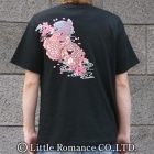 S-2101���������ȾµT����ġ�����