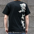 S-1952���������ȾµT����ġ��ֿԤ���