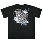 S-2293���������ȾµT����ġ����VSζ��