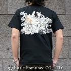 S-1966���������ȾµT����ġ���ɴ�����