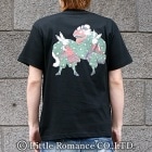 S-1969���������ȾµT����ġ��������