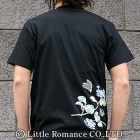 S-2090���������ȾµT����ġ���������