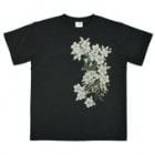 S-2190���������ȾµT����ġ���ζ