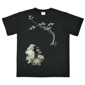 S-1425���������ȾµT����ġ���ҹ���