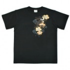 S-2034���������ȾµT����ġ�������