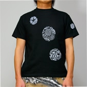 TE-1080���������ȾµT����ġ���ʸ��