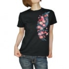 S-2004YG��������ǥ���Ⱦµ�ԥ���ġ�ή������