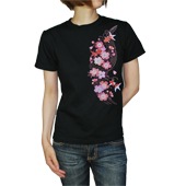 S-2061YG��������ǥ���Ⱦµ�ԥ���ġ�����