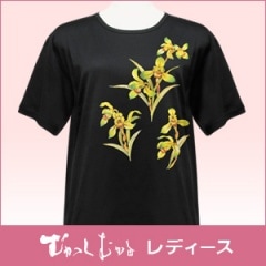 S-2485 ������ǥ���Ⱦµ���륱�å�T����� (���̤Τ�)���������