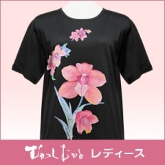 S-2023 ������ǥ���Ⱦµ���륱�å�T����� (���̤Τ�)������ӥ��塼��B