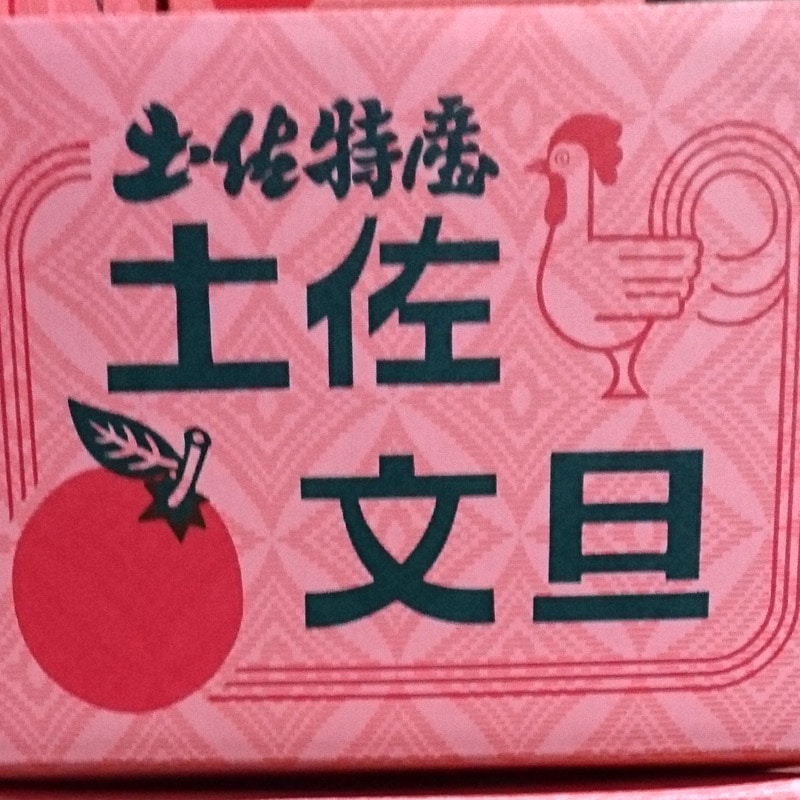 高知県産】家庭用 土佐文旦(露地)10㎏ 送料無料(一部地域送料 高知県産】家庭用 土佐文旦(露地)10㎏ 送料無料(一部地域送料