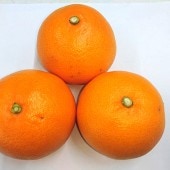 GNM　高知産　露地土佐文旦 　2L ＋３L　２０kg　　家庭用 1228143903_63abd6775a50c.jpg