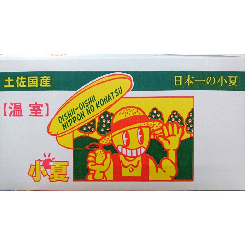 小夏 家庭用】｜高知の季節のくだもの｜近沢ストアー