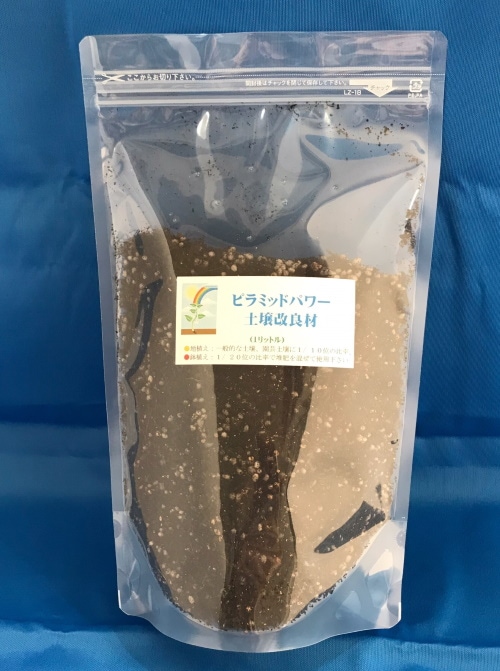 ԥߥåɥѥھɺ | 1L10L