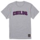 College font style T-shirt grey