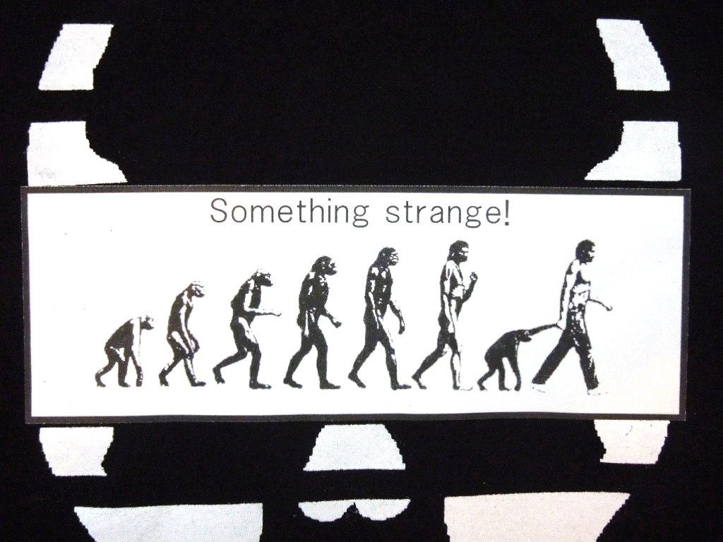 Skull biology T����ġ���