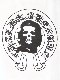Guevara Skull Old font mark T-shirt white