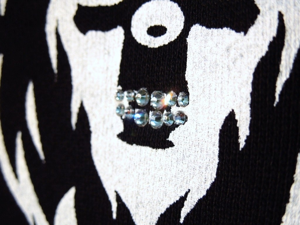 Skull Lion Swarovski zip-up Parka black