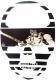 ������ �ե��� �������� ������ե����� ����T����� / White��Guitar