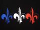 ���꡼��꡼����֥�ࡡ���󥰣ԥ���ġ�Black��France