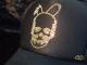 Skull Bunny Swarovski cap��Black��Gold