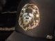 Skull Lion Swarovski cap Black��Gold