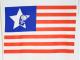 Skull Swarovski USA flag LongT-shirt White